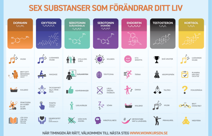 wowlifemasteryinfograf-cover
